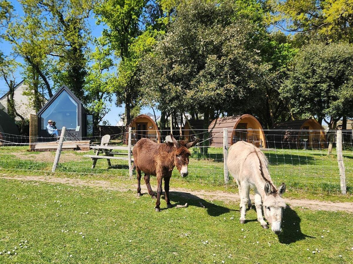 Gites & Tiny Houses Les Hauts De Toulvern Baden Kamer foto